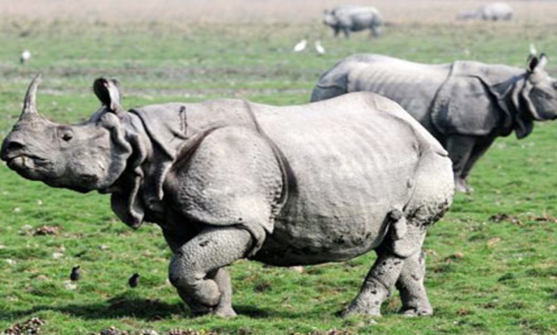 Top 10 Best Adventure Places in India