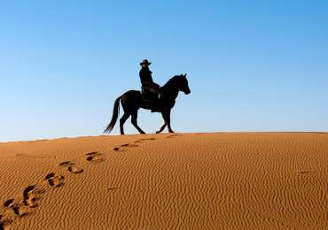 Desert Horse Ride of Rajasthan