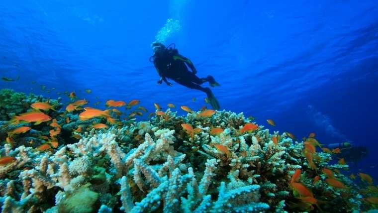 Havelock & Neil Scuba Diving Package