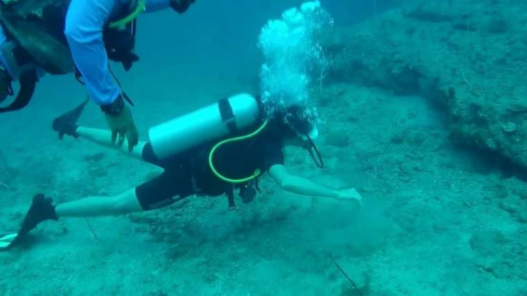 Scuba Diving In Havelock