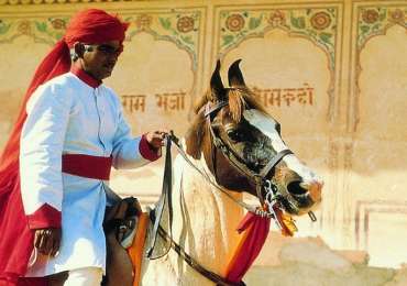 Regal Horse Ride with Taj