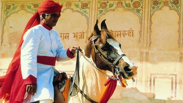 Regal Horse Ride with Taj