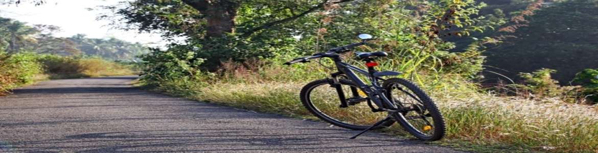 Bicycle Tours