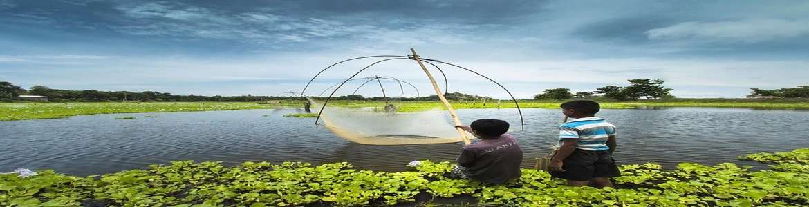 Fishing & Angling