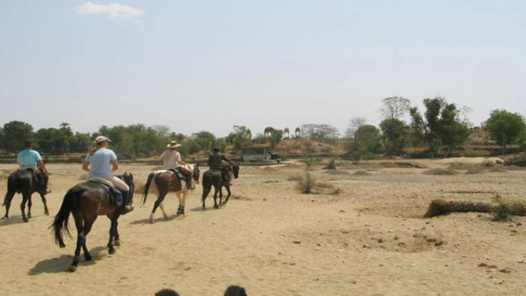 Pushkar Fair Horse Riding Tour