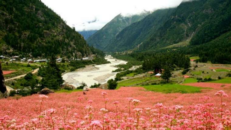 Fishing & Angling Tour in Sangla Valley