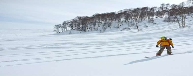 Ski & Snowboard