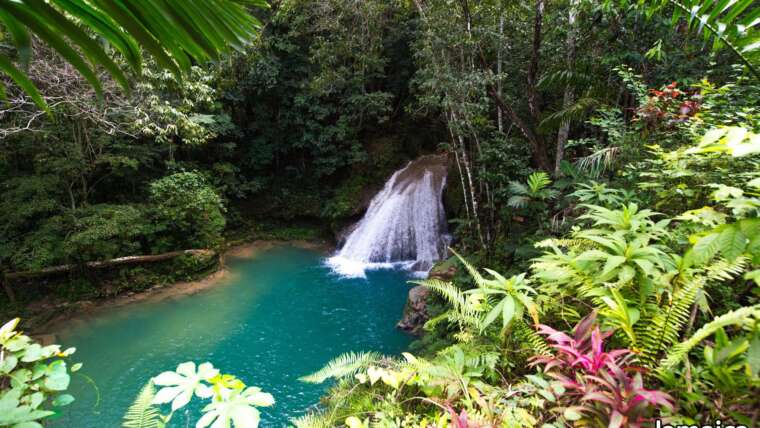 Hidden Jamaica