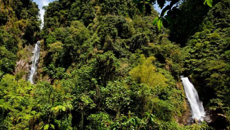 Totally Tropical Trekking in Dominica