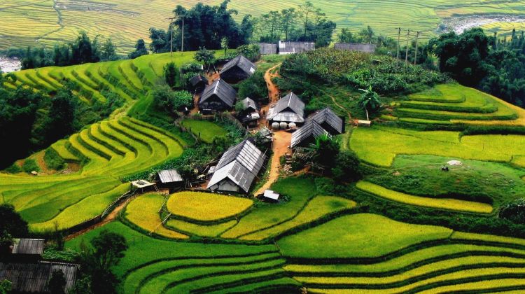 Explore Hanoi, Trek Sapa and Cruise on Halong Bay