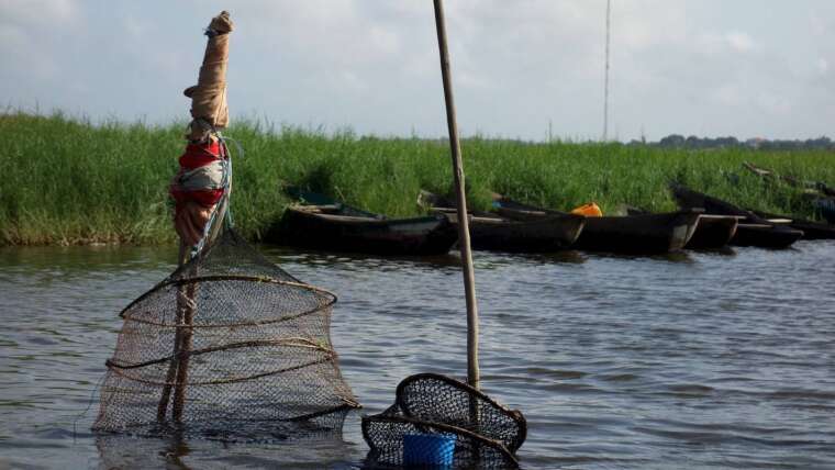 Best Benin Explorer