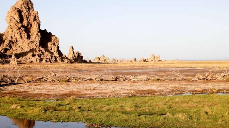 Djibouti’s Footsteps of the Afar
