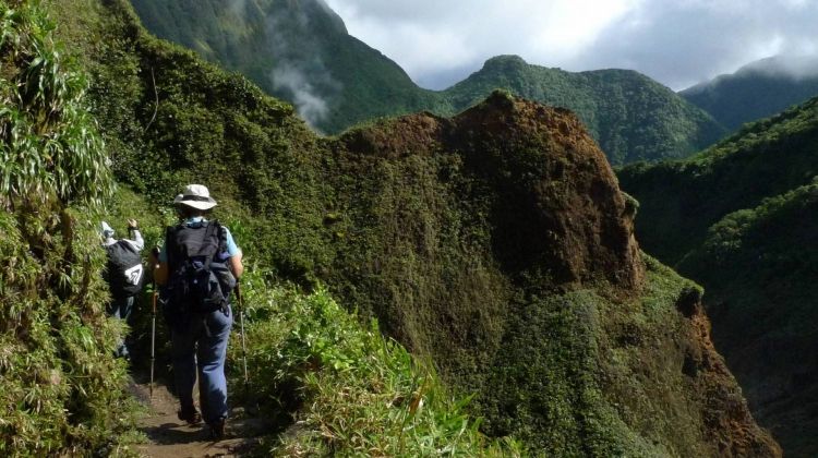 Trek the Waitukubuli National Trail Dominica